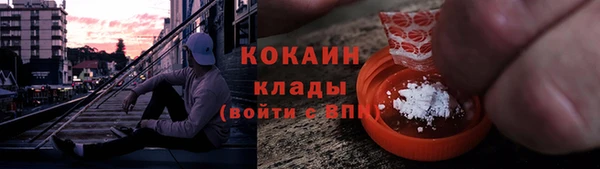 хмурый Алзамай