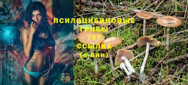 хмурый Алзамай