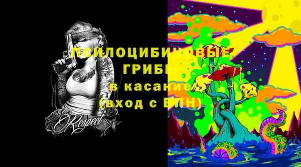хмурый Алзамай