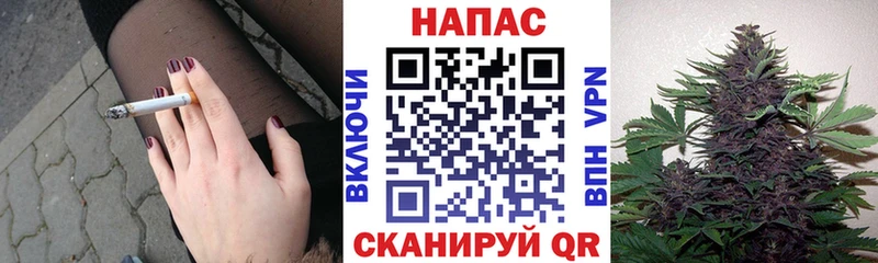 Бошки марихуана марихуана  Старый Оскол 